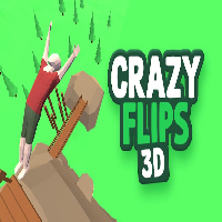 Crazy Flips 3D